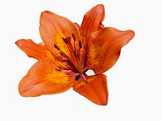 Similar image 21209090