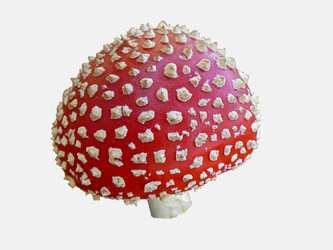 Similar image 21209091