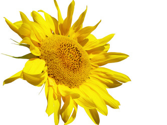 Similar image 21218682