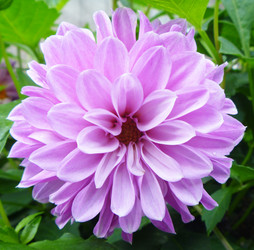 Similar image 21218683