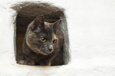 Similar image 21221561