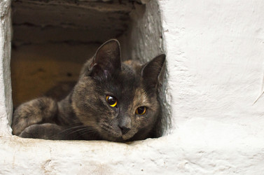 Similar image 21221562