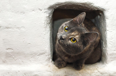 Similar image 21221563