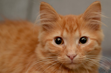 Similar image 21221566