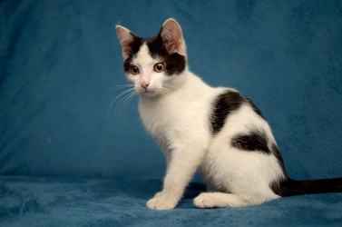 Similar image 21221569