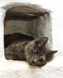 Similar image 21221570