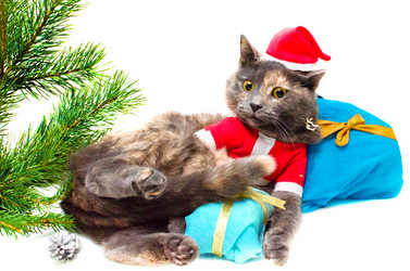 Similar image 21221571