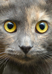 Similar image 21221574