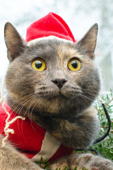 Similar image 21221575