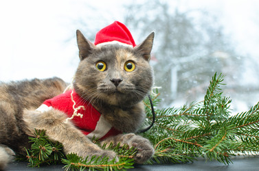 Similar image 21221576