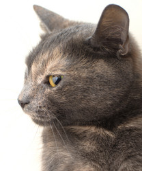 Similar image 21221578