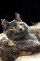 Similar image 21221579