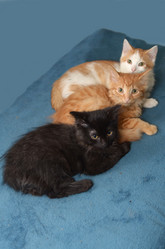 Similar image 21221588