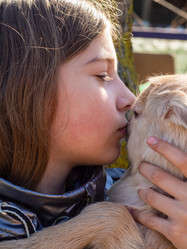 Similar image 21212560