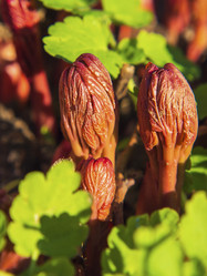 Similar image 21212562