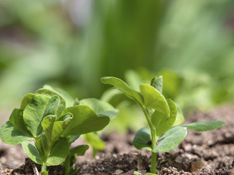 Similar image 21212563