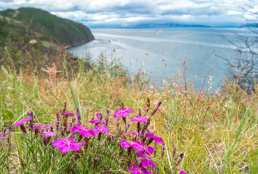 Similar image 21206360