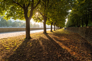 Similar image 21206552