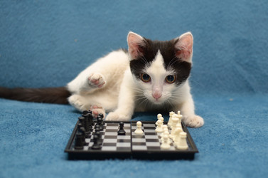 Similar image 21211069