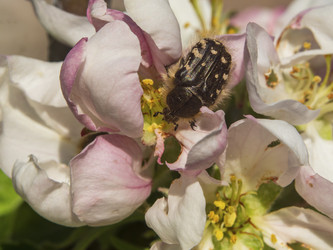 Similar image 21205486