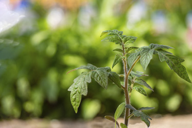 Similar image 21205487