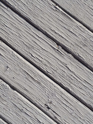 Similar image 21205494