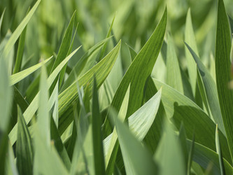 Similar image 21205496