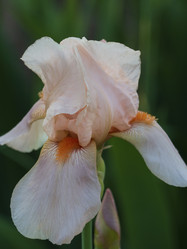 Similar image 21205515