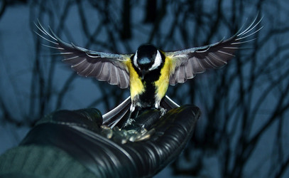 Similar image 21221590