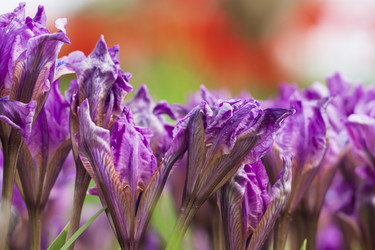 Similar image 21205522