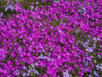 Similar image 21205559