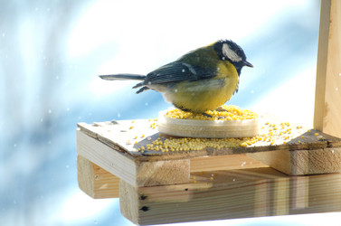 Similar image 21221591