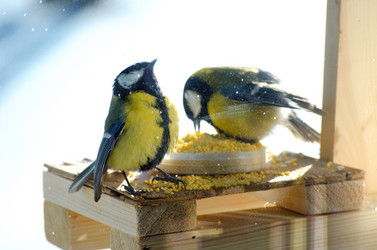 Similar image 21221592