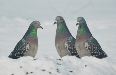 Similar image 21221593