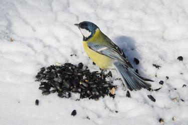 Similar image 21221597