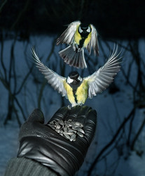 Similar image 21221600