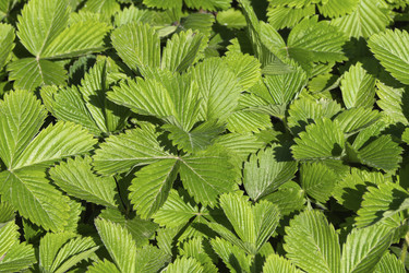 Similar image 21205561