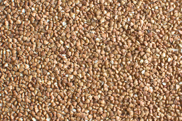 Similar image 21221604