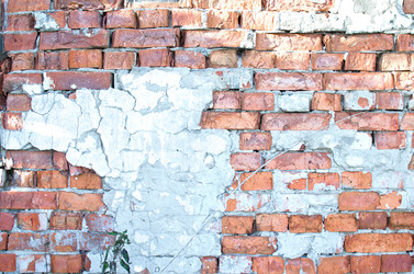 Similar image 21221632