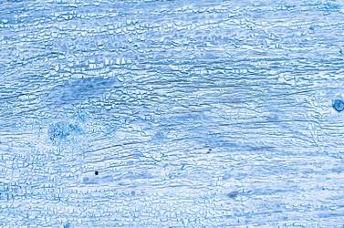 Similar image 21221635