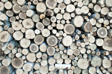 Similar image 21221636