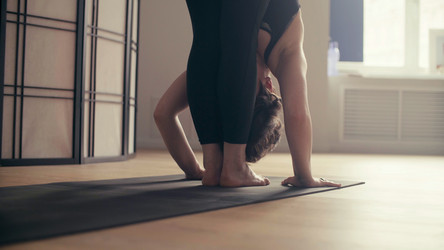 Similar image 21204536