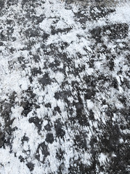 Similar image 21205995