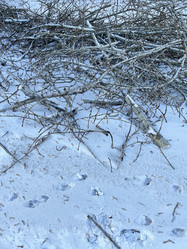 Similar image 21205996