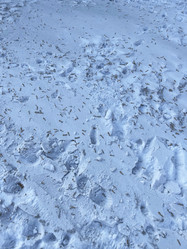 Similar image 21205997