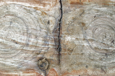 Similar image 21221643