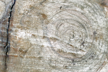 Similar image 21221645