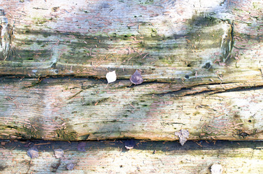 Similar image 21221647