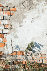 Similar image 21221660