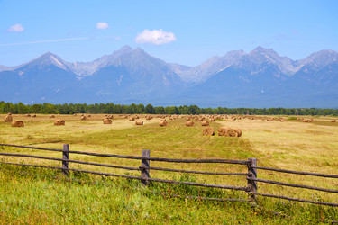 Similar image 21207595